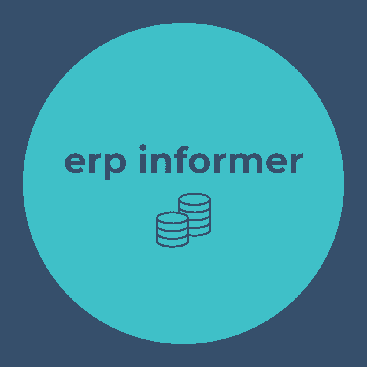 The ERP Informer
